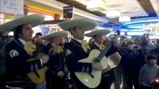 Mariachis. Las mañanitas