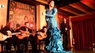 Flamenco. Tablao El Arenal. Sevilla, España 2010