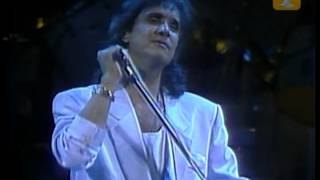 Roberto Carlos, El Gato que está triste y azul, Festival de Viña 1989