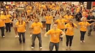 Ikea Long Island 'Party Rock' Flash Mob 2012