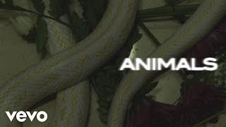 Maroon 5 - Animals