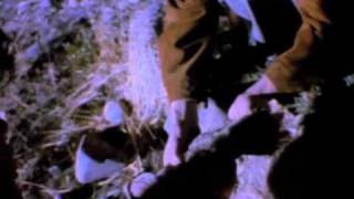 a-ha - Crying In The Rain