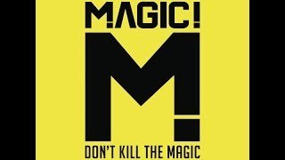 MAGIC! - Stupid Me