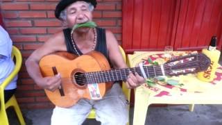  Zé da folha, artista de rua