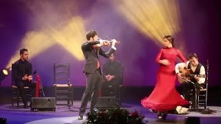 El vito cordobés. Paco Montalvo