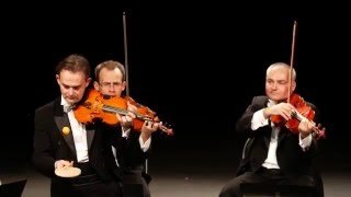 Versión divertida de Mozart