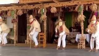 Danza de los Enguangochados. Michoacan 