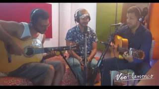 Flamenco árabe gitano