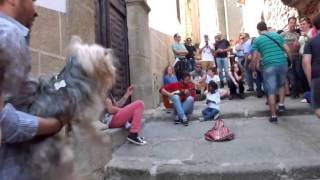 Cantando flamenco en la calle, en Cáceres